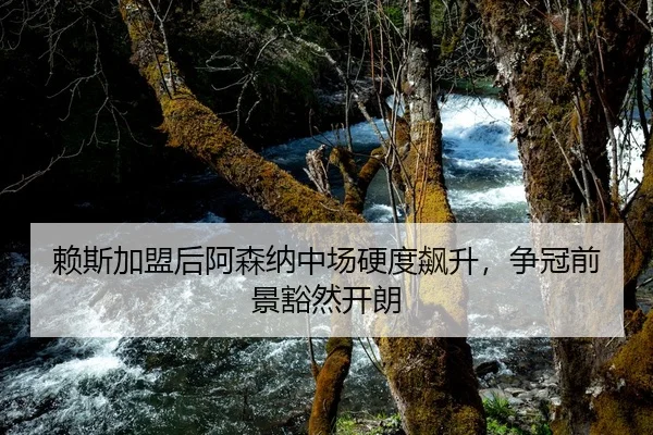 赖斯加盟后阿森纳中场硬度飙升，争冠前景豁然开朗