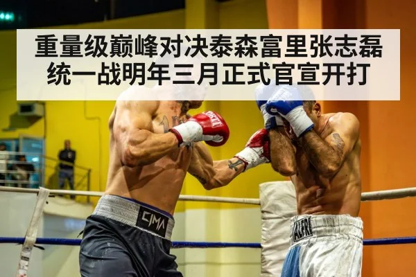 重量级巅峰对决泰森富里张志磊统一战明年三月正式官宣开打